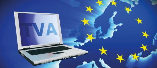 TVA intracommunautaire : taux de change mensuels - © Les Echos Publishing 2025