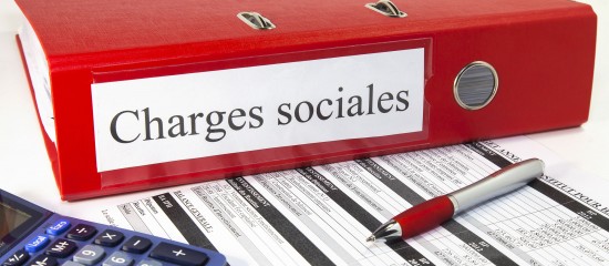 Réduction générale des cotisations patronales - © Les Echos Publishing 2025