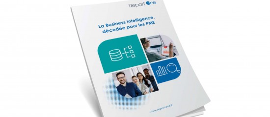 La Business Intelligence décodée pour les petites entreprises - © Les Echos Publishing 2021