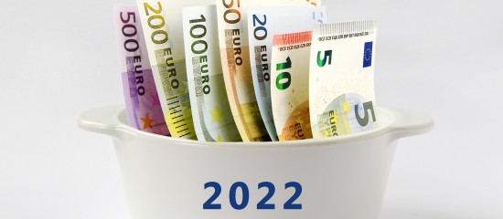 Impôt à la source : opter pour des acomptes trimestriels à partir de 2022 - © Les Echos Publishing 2021