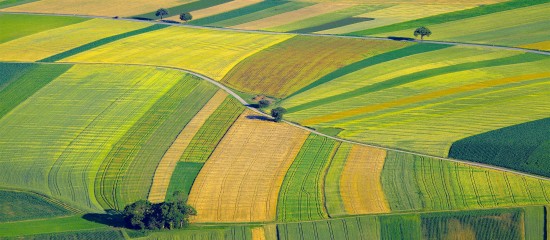 Quel prix pour les terres agricoles en 2020 ? - © Les Echos Publishing 2021