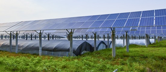 Vente d’une entreprise agricole dotée de panneaux photovoltaïques : quelle exonération fiscale ? - © Les Echos Publishing 2022