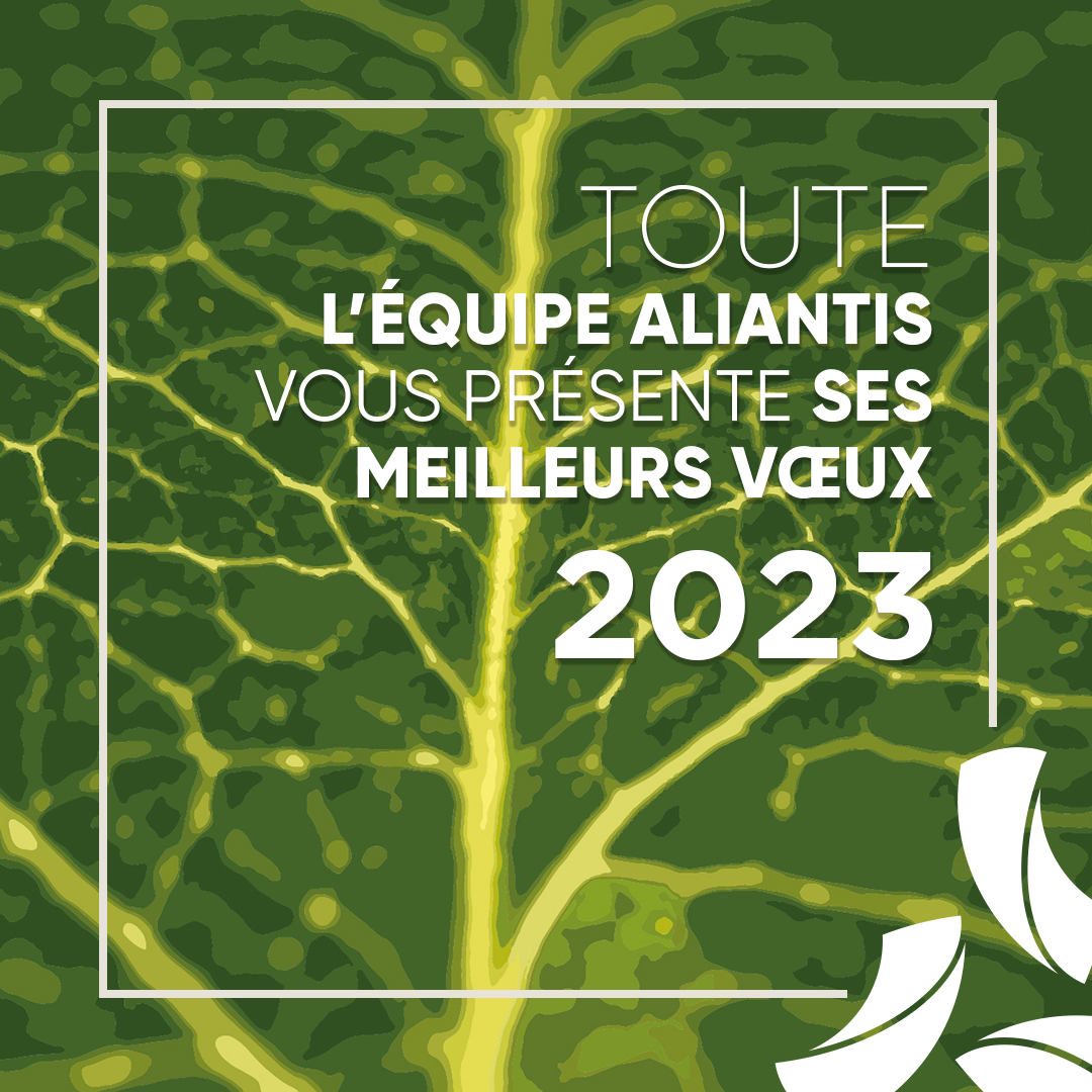 Aliantis vœux 2023 - © 