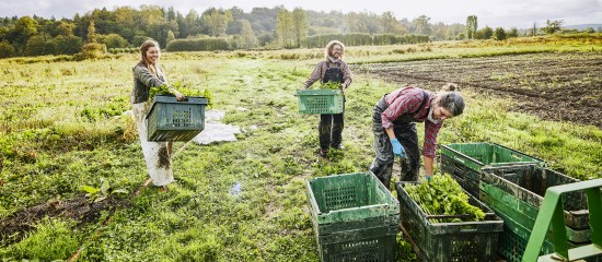 Travailleurs occasionnels agricoles : l’exonération spécifique prolongée de 3 ans - © Les Echos Publishing 2022