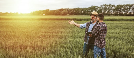 Mise à disposition d’une société de terres agricoles louées : gare à l’information du bailleur ! - © Les Echos Publishing 2022