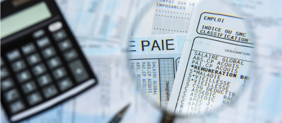 Bulletin de paie : des changements à venir - © Les Echos Publishing 2022