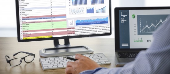 Vérification d’une comptabilité informatisée : quel niveau d’information donner à l’entreprise ? - © Les Echos Publishing 2023