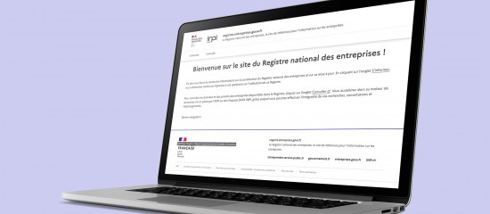 Registre national des entreprises : rectification des données et informations manquantes - © Les Echos Publishing 2023