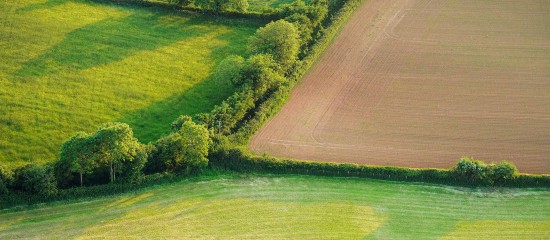 Le volet agricole de la planification écologique - © Les Echos Publishing 2023