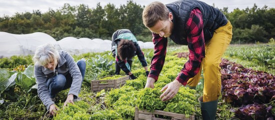 Exploitants agricoles : les nouveautés fiscales pour 2024 - © Les Echos Publishing 2024