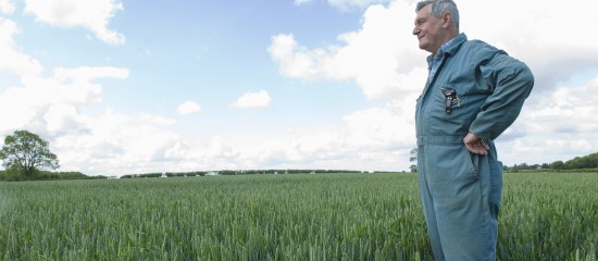 Quelle durée pour un bail rural à long terme conclu au profit d’un exploitant âgé ? - © Les Echos Publishing 2024