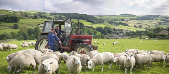 Exploitants agricoles : fin de l’option fiscale pour la moyenne triennale - © Les Echos Publishing 2024