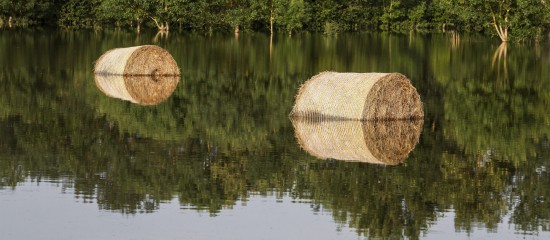 Exploitants agricoles : déclarez votre interlocuteur agréé pour les pertes de récolte ! - © Les Echos Publishing 2024