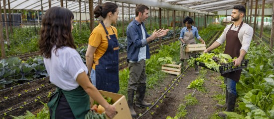 Les associations agricoles employeuses en 2023 - © Les Echos Publishing 2024