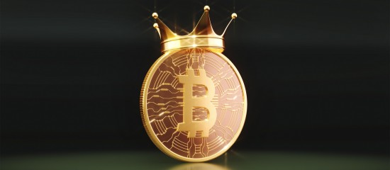 Les cryptomonnaies gagnent en popularité - © Les Echos Publishing 2025