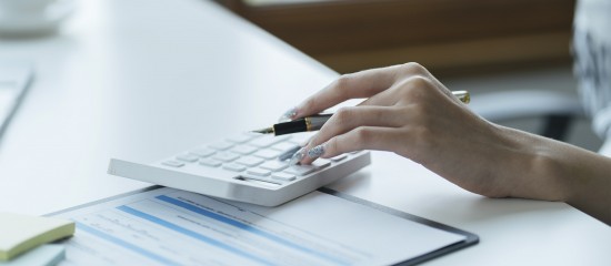 Le simulateur de calcul de l’impôt sur le revenu 2025 est en ligne - © Les Echos Publishing 2025
