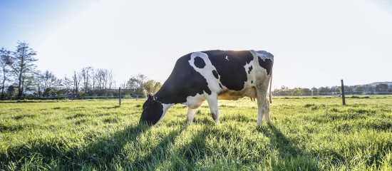 Loi d’orientation agricole : les principales mesures - © Les Echos Publishing 2025