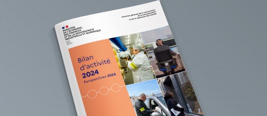 DGCCRF : près de 65 000 contrôles réalisés en 2024 - © Les Echos Publishing 2025