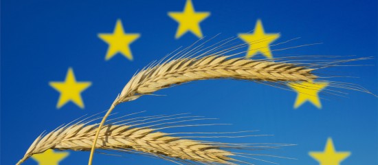 Exploitants agricoles : plus que quelques jours pour déposer votre déclaration Pac - © Les Echos Publishing 2025
