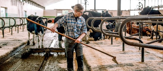 Option des exploitants agricoles pour une assiette annuelle de leurs cotisations sociales - © Les Echos Publishing 2025