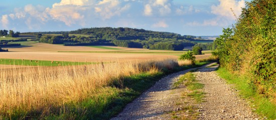 Les prix des terres agricoles ont encore augmenté en 2024 ! - © Les Echos Publishing 2025