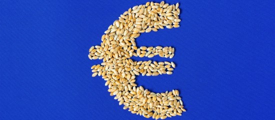 Agriculture : augmentation de plusieurs aides de la Pac au titre de 2024 - © Les Echos Publishing 2025