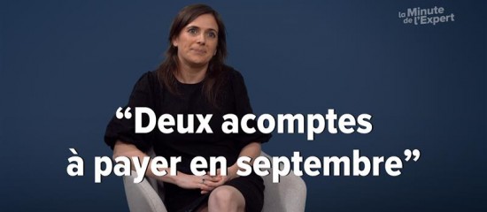 Une contribution complémentaire à la CVAE - © Les Echos Publishing 2025