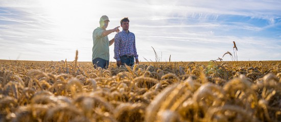 À quel moment peut-on insérer une clause de reprise sexennale dans un bail rural ? - © Les Echos Publishing 2025