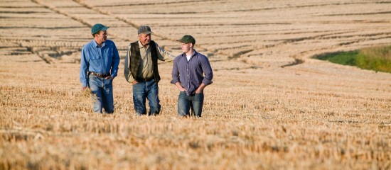 Reprise de terres agricoles données à bail par une société familiale - © Les Echos Publishing 2025
