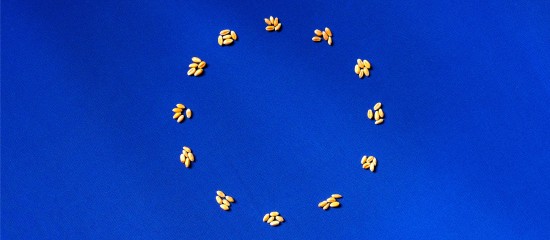 Exploitants agricoles : fixation des montants 2025 de certaines aides Pac - © Les Echos Publishing 2025