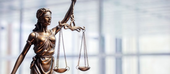 Nullité des décisions en droit des sociétés : du nouveau ! - © Les Echos Publishing 2025