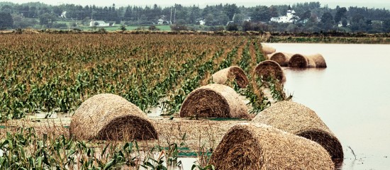 Déduction pour épargne de précaution : quelles conditions pour l’exonération fiscale ? - © Les Echos Publishing 2025