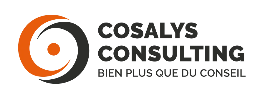 Cosalys Consulting • partenaire Aliantis