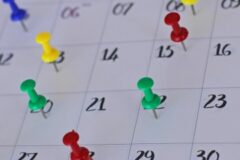  - © ©2019 Isabel Pavia